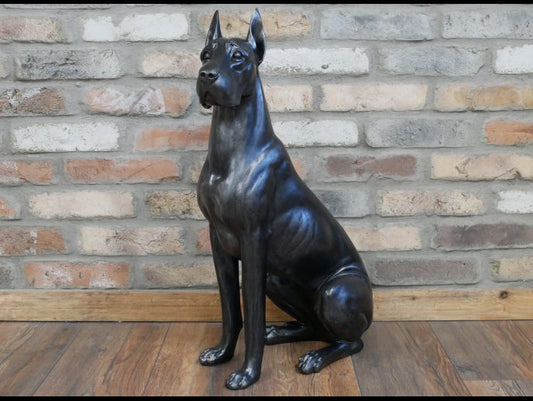 Sitting Great Dane