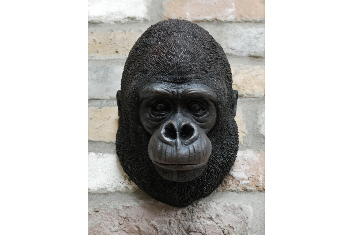 Gorilla Head