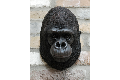Gorilla Head