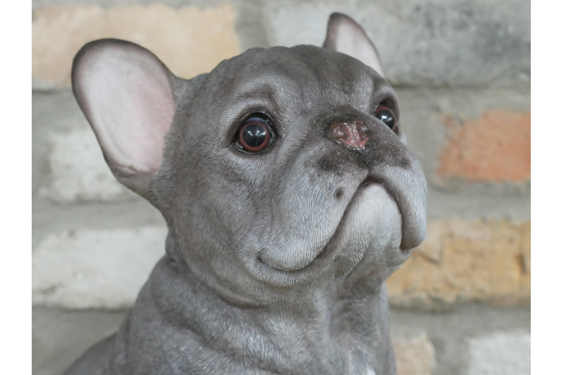 Sitting Dog (Frenchie)
