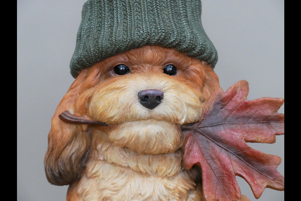 Autumn Dog