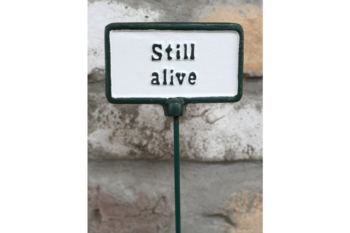 Plant Sign - Still Alive