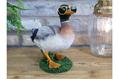 Duck In Shades