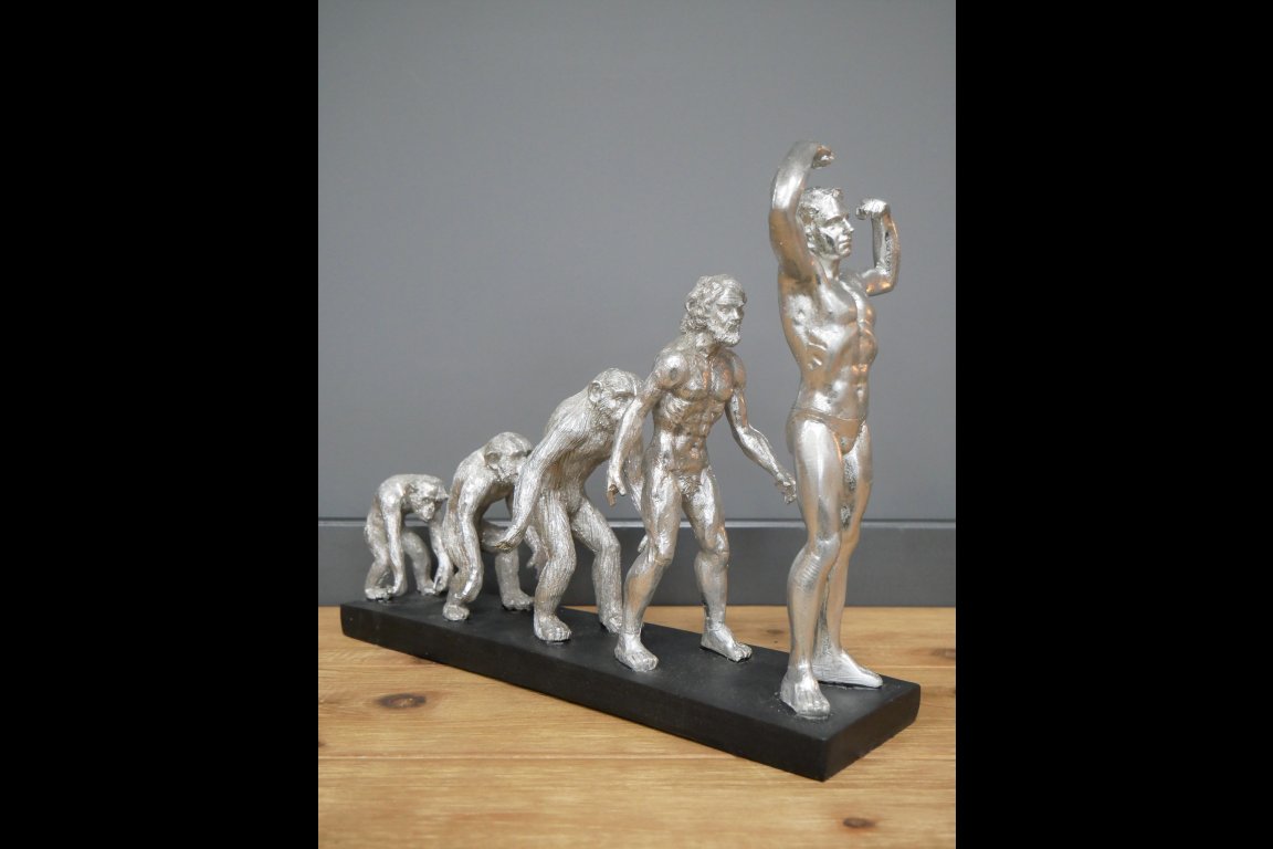 Human Evolution