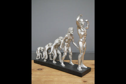 Human Evolution