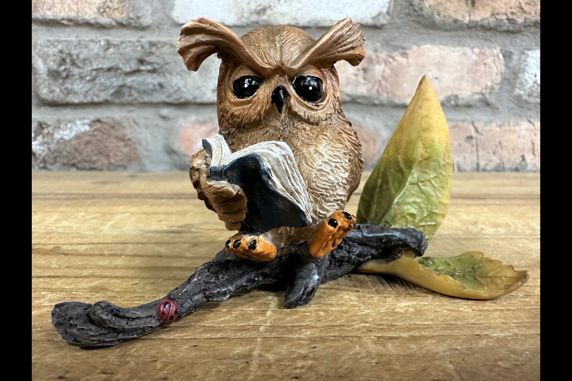 Owl Reading