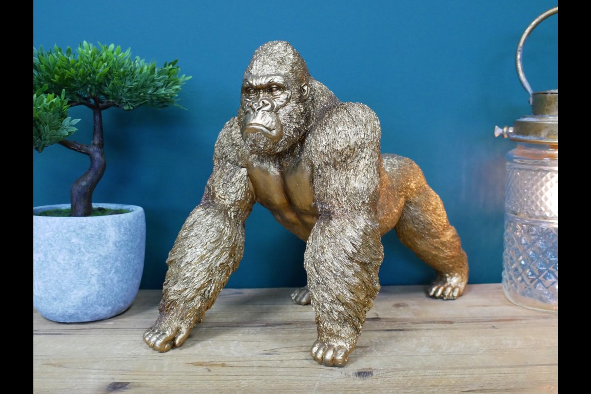 Gorilla