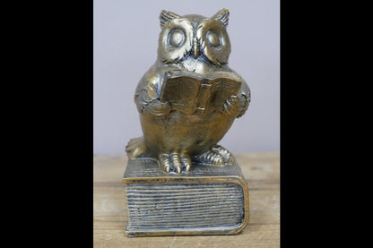 Reading Owl