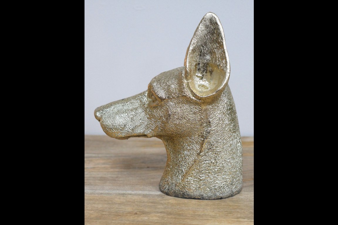 Dog Head
