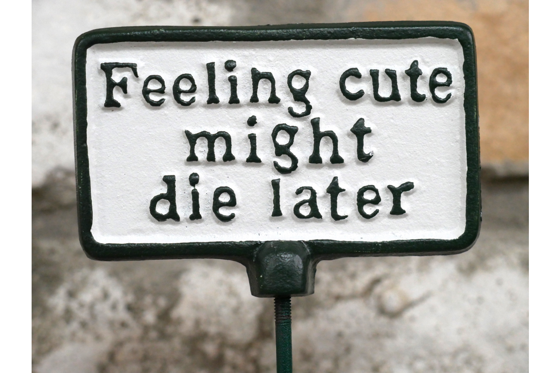 Plant Sign - Feeling Cute