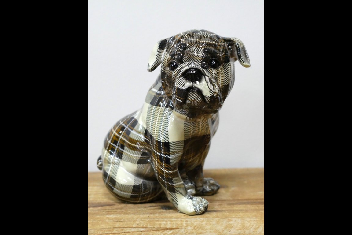 Tartan Dog