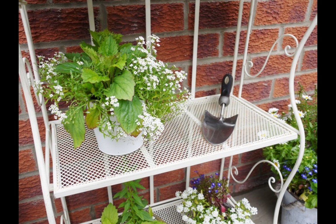 3 Tier Shelf