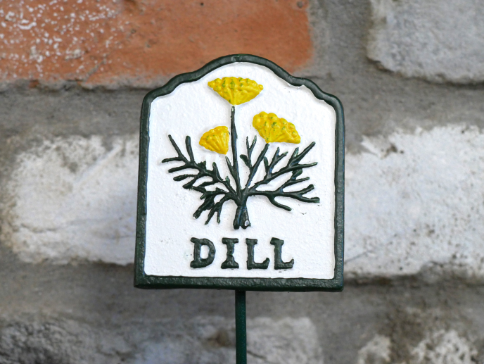 Herb Sign (Dill)