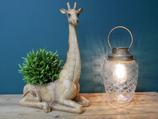 Giraffe Planter