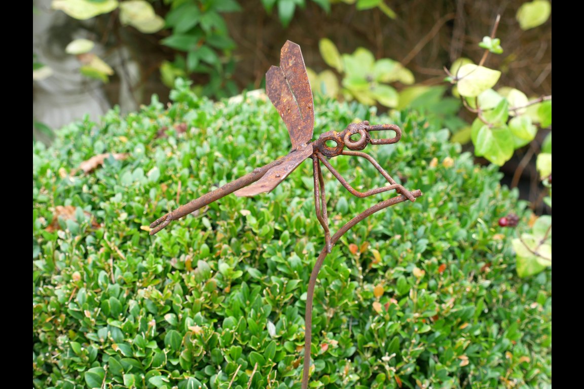 Rusty Dragonfly Stake