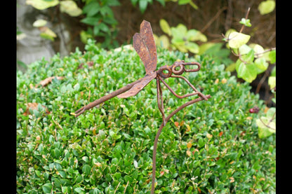 Rusty Dragonfly Stake