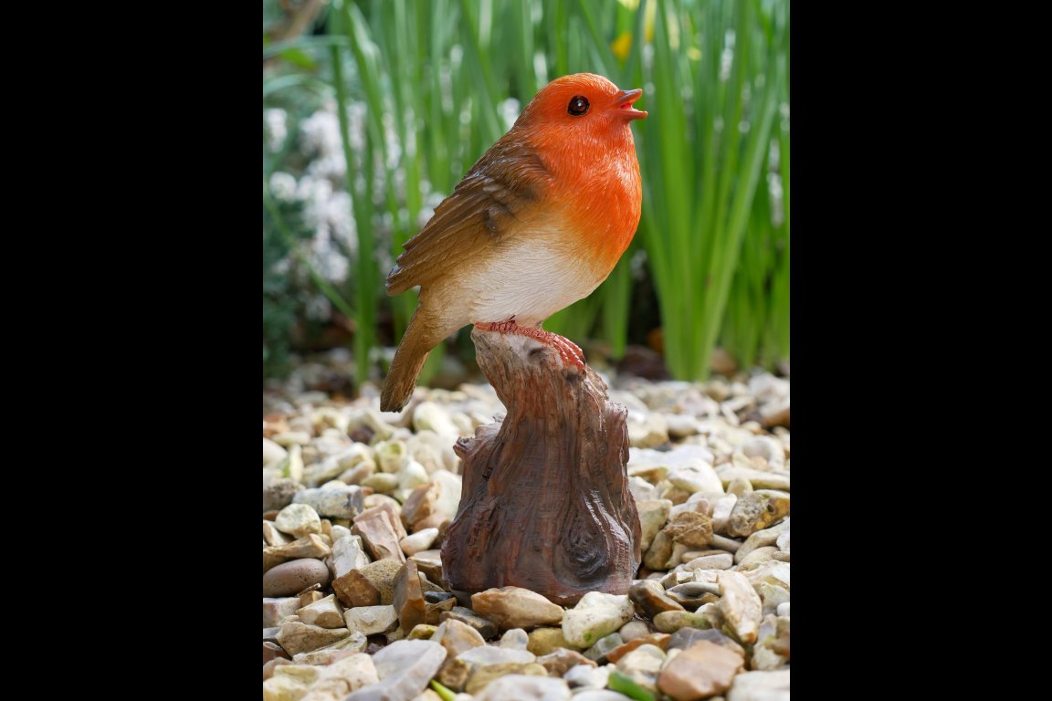 Tweeting Bird