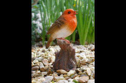 Tweeting Bird