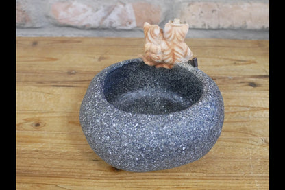 Small Cat Trough