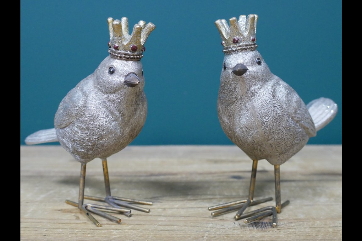 Set Of Two Birds