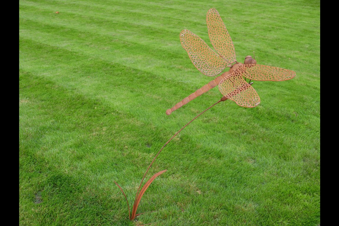 Rusty Dragonfly Stake
