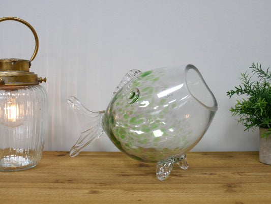Big Mouth Glass Fish