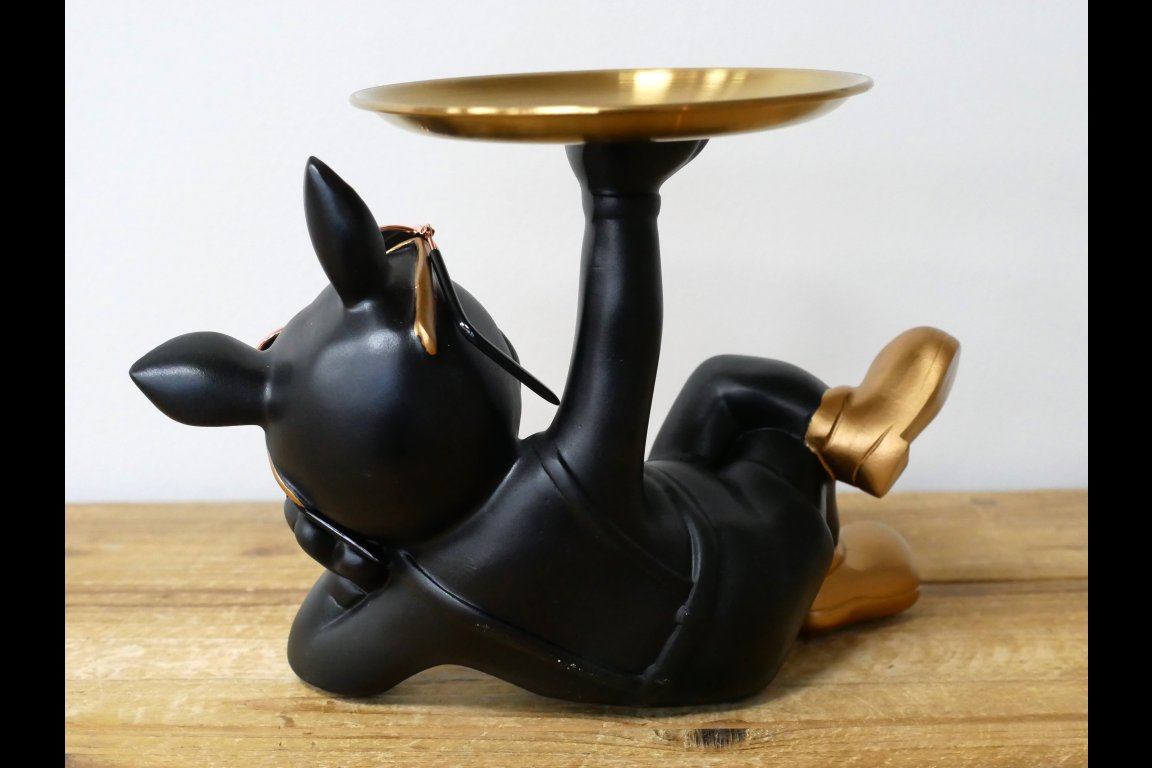 Dog With Tray