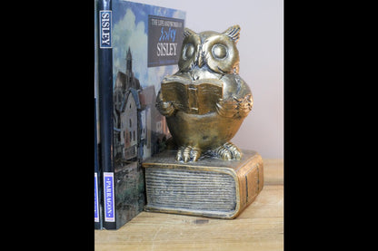 Reading Owl