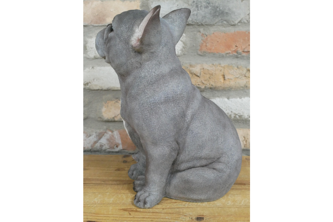 Sitting Dog (Frenchie)