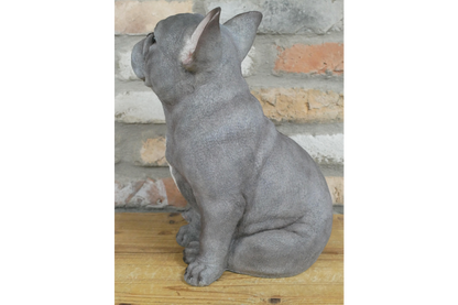 Sitting Dog (Frenchie)