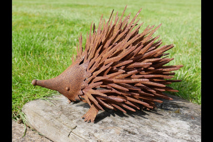 Rusty Hedgehog