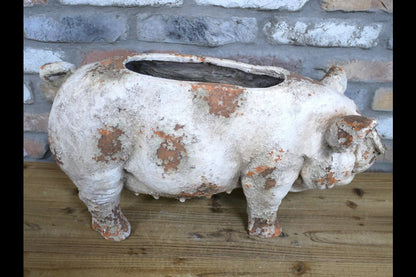 Pig Planter