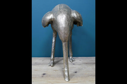 Ostrich (Head In Sand)
