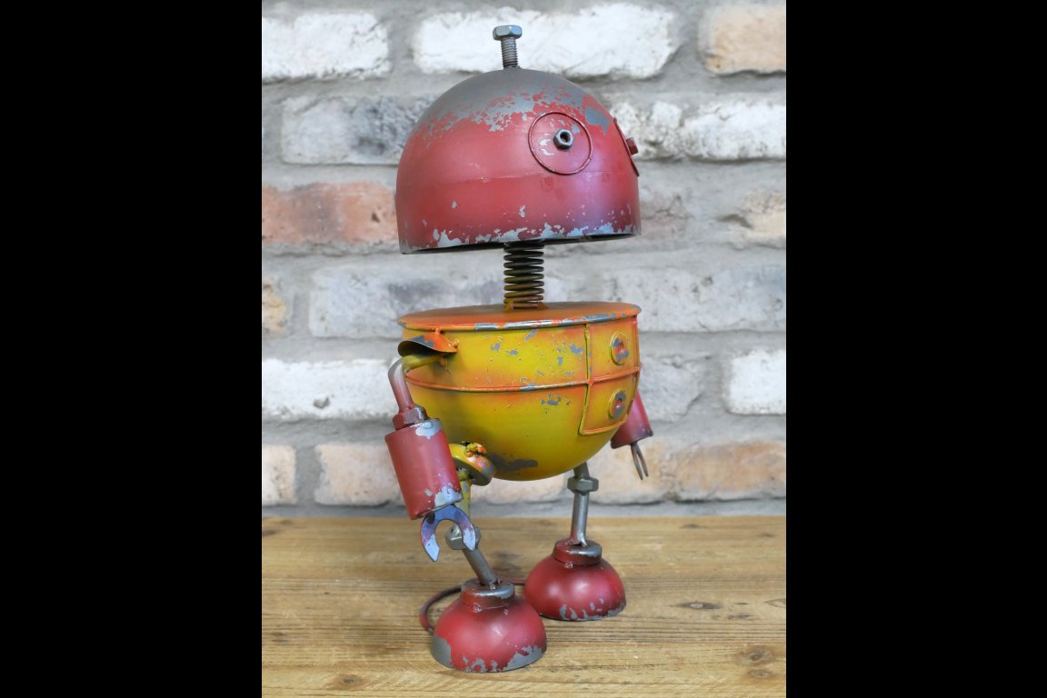 Robot