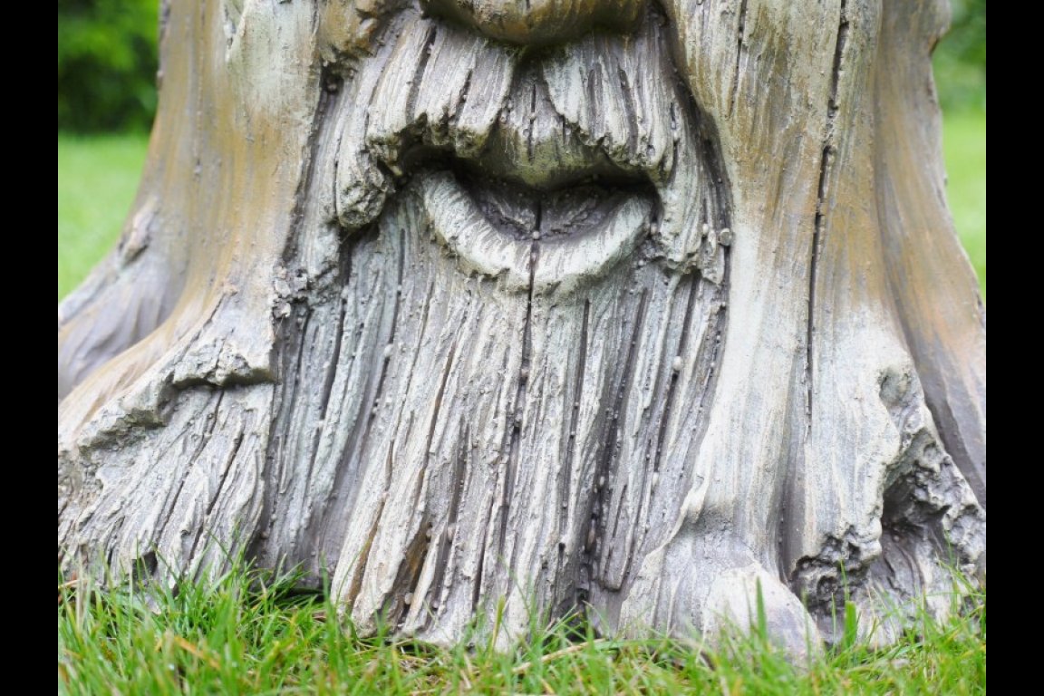 Tree Stump Planter