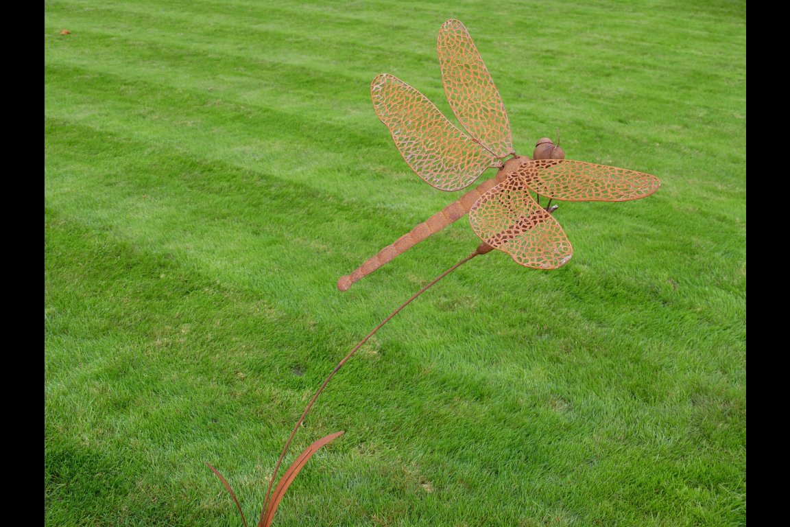 Rusty Dragonfly Stake