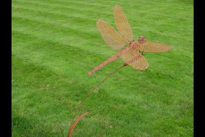 Rusty Dragonfly Stake