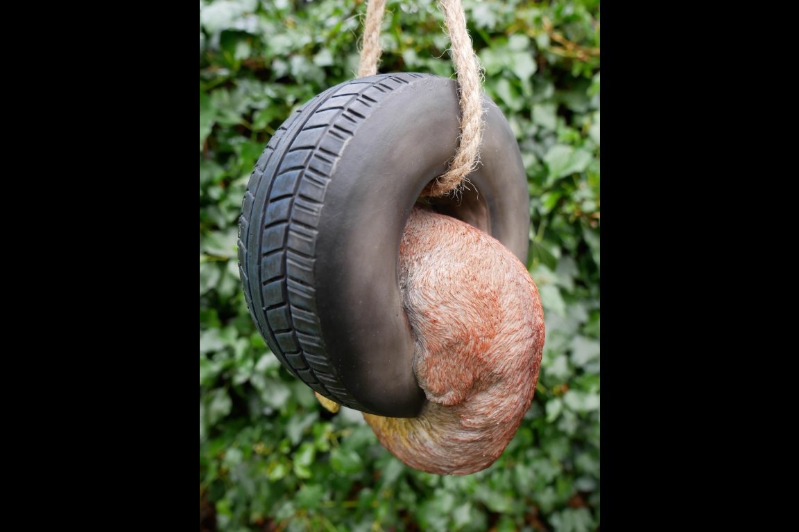 Squirrel In Tyre