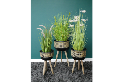 Set Of Three Planters