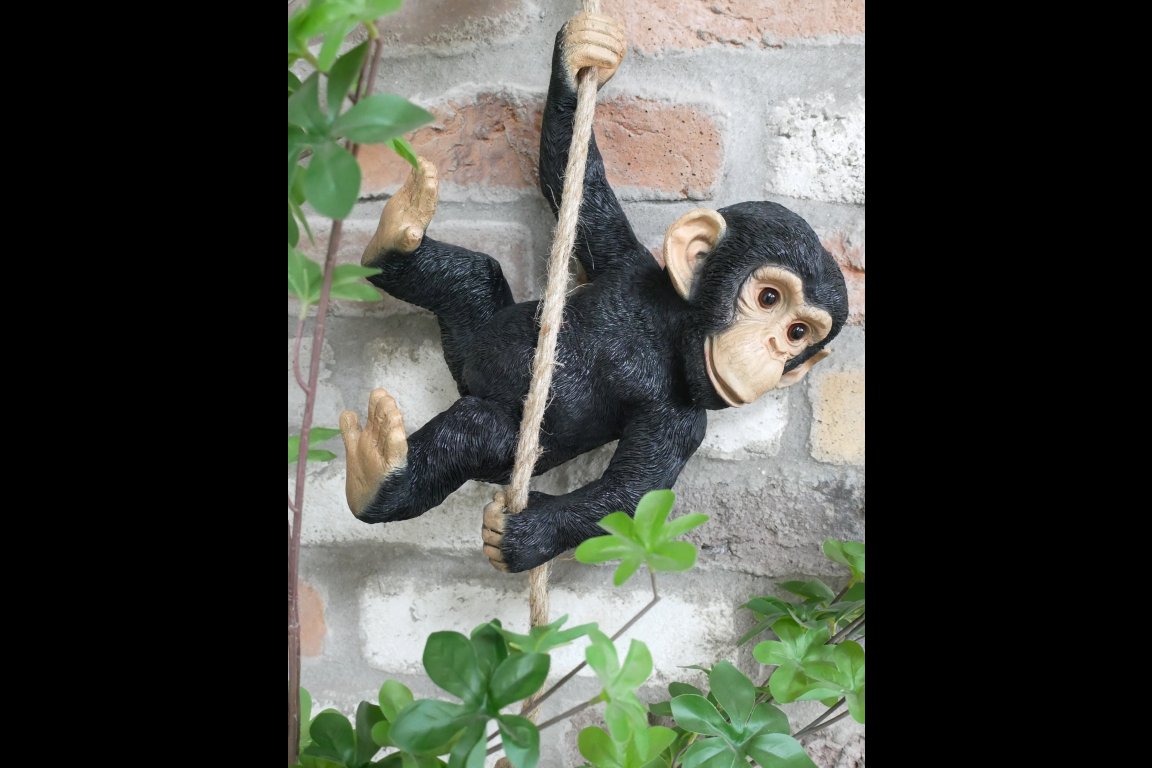 Swinging Monkey