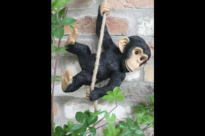 Swinging Monkey