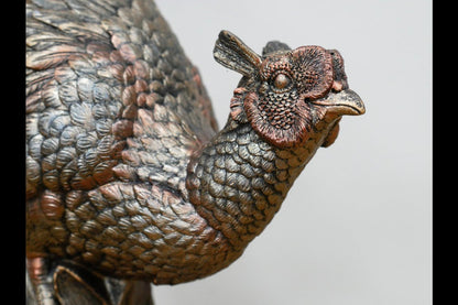 Pheasant