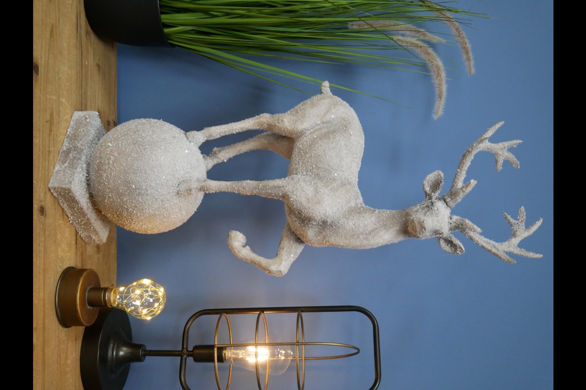 Stag On Ball
