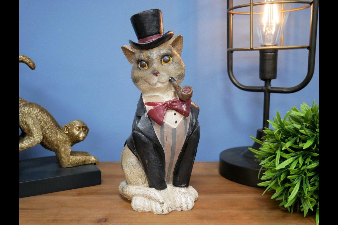 Gentleman Cat