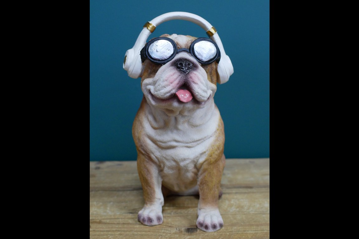 Dog With Headphones