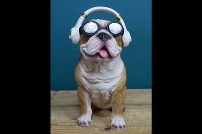 Dog With Headphones