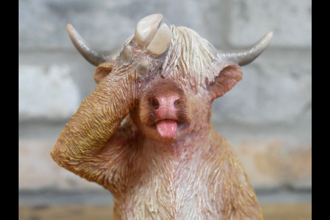 Hoof Said That Cow