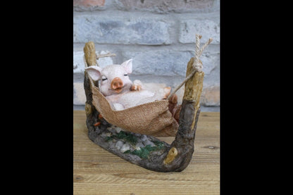 Pig In Hammock