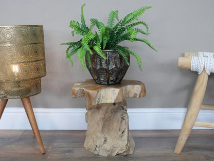 Root Side / Plant Stand