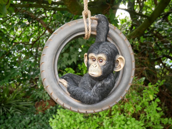 Chimpanzee On Tyre Swing